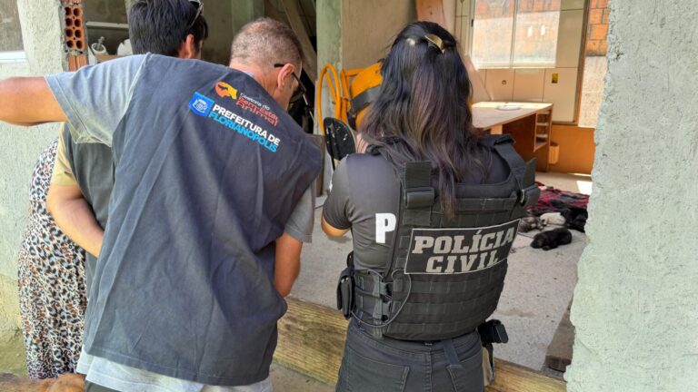 Operação resgata 28 cães vítimas de maus-tratos em Florianópolis