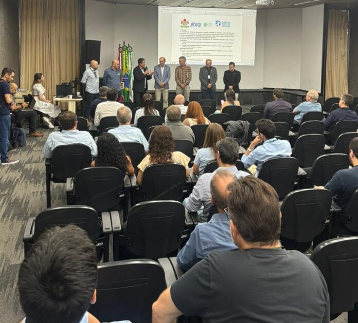 SC discute arroz sustentável e créditos de carbono