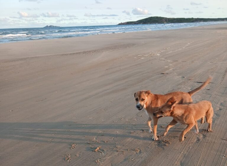 Calor e temporais isolados marcam o tempo em SC nesta quarta