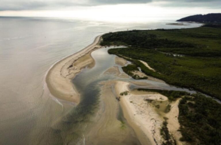 Justiça suspende licença de porto na Baía da Babitonga