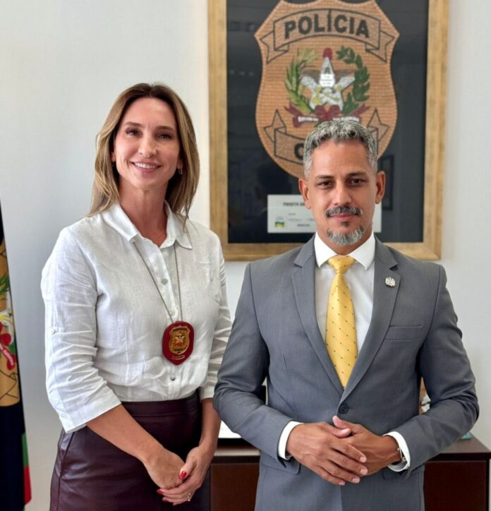 delegada geral adjunta SC Alessandra Rabello