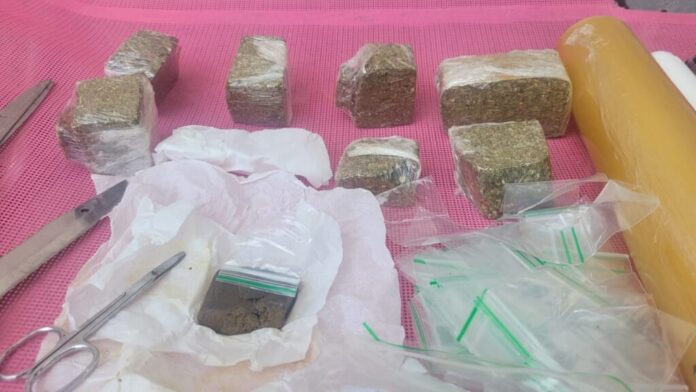 tráfico de drogas Campeche