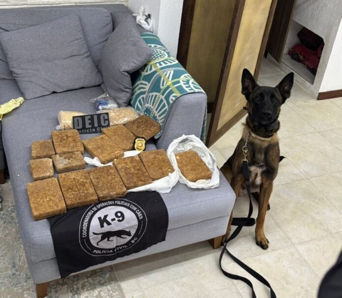 Operação Moscou SC