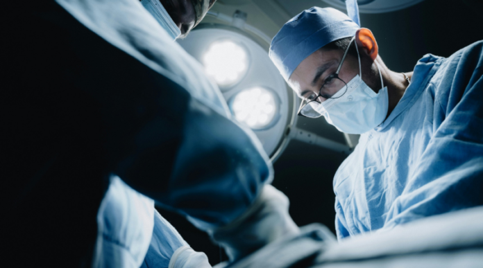 transplante renal Tubarão