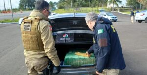 apreensão de maconha em Joaçaba