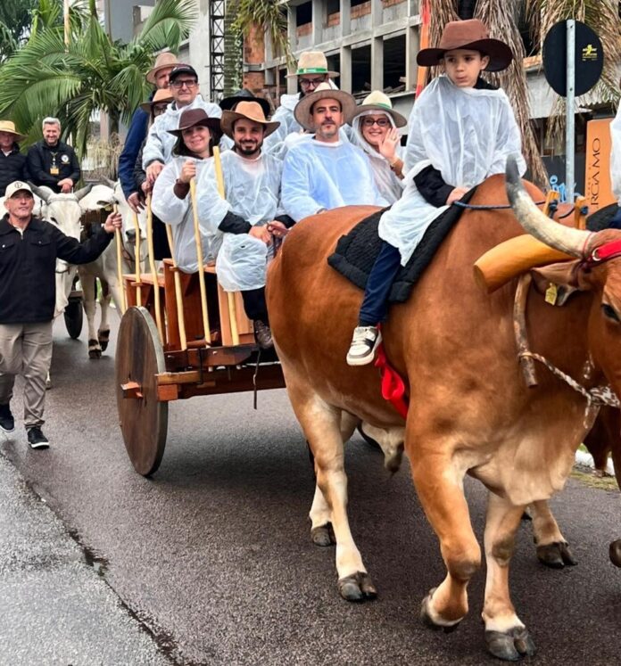desfile de carros de boi
