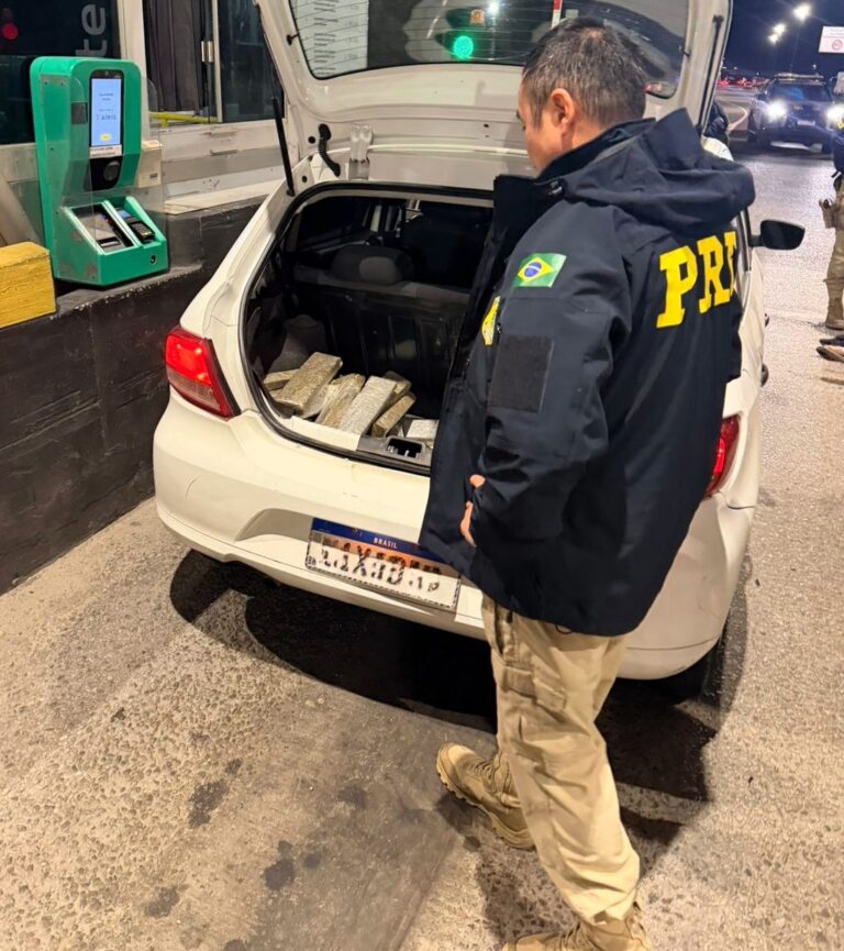 50 kg de maconha na BR-101