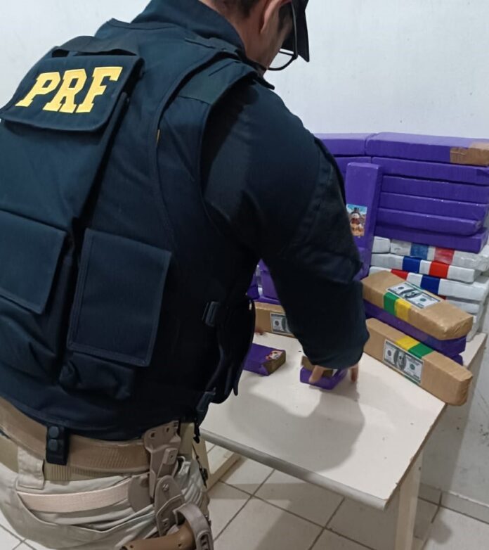 apreensão de maconha Joinville