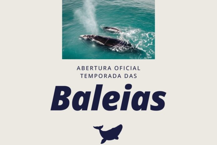 abertura temporada das baleias