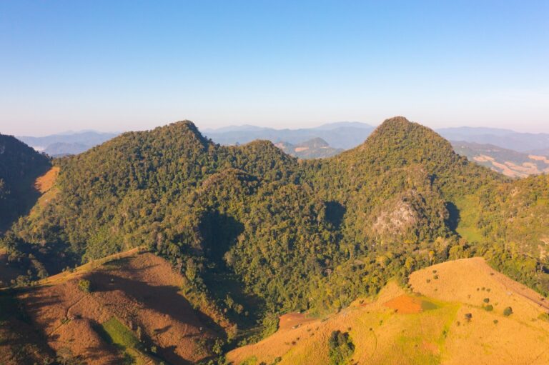 Inverno na Serra Catarinense convida a desacelerar