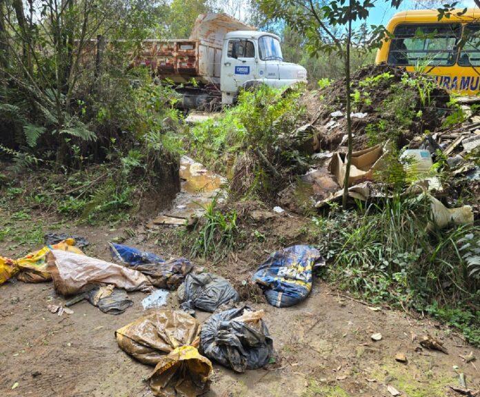 cães mortos em Santa Catarina