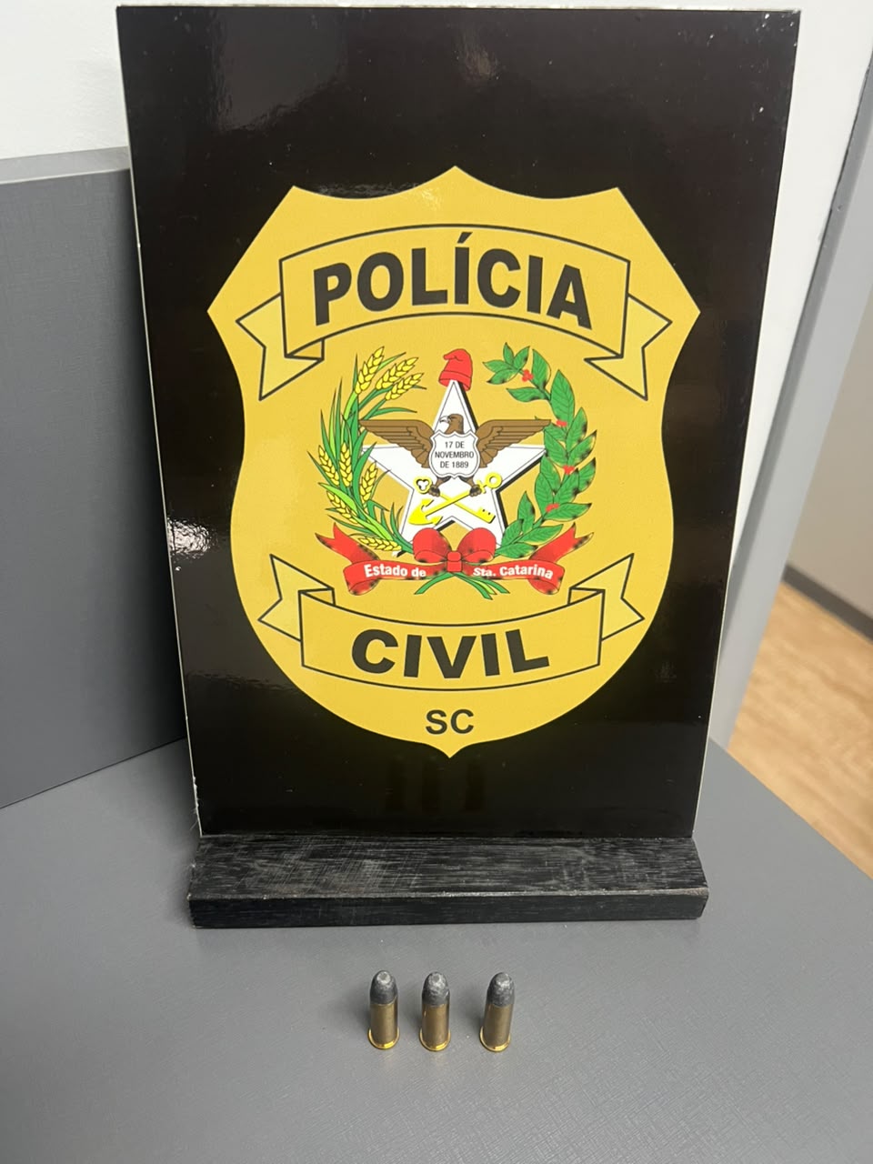 operação contra organização criminosa em Santa Catarina